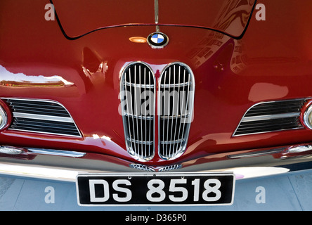 BMW 503 bonnet et grill au Goodwood Revival 2012, Sussex, UK. Banque D'Images