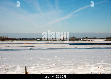 Dans la neige paysage d'hiver avec des oiseaux et de l'eau Banque D'Images