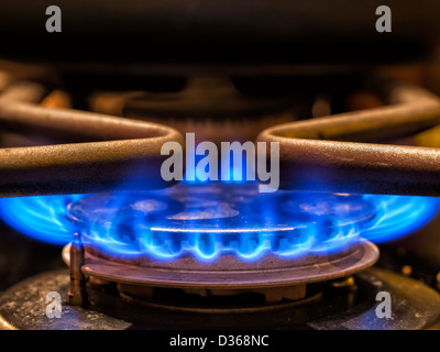 Les flammes bleues brûlures sur une cuisinière à gaz dans une cuisine domestique. Banque D'Images