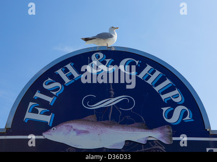 Seagull assis sur le poisson et signe à puce, Brighton, Sussex, Angleterre Banque D'Images