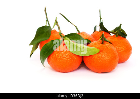 Les tangerines isolé sur fond blanc. Banque D'Images