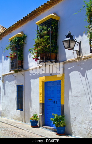 Rue avec fleurs et porte bleue à Cordoue, Andalousie, Espagne Banque D'Images