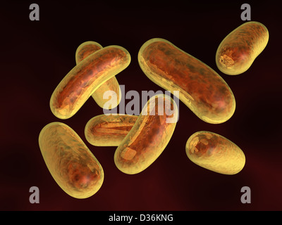 Les bactéries en rendu 3D sur fond rouge foncé Banque D'Images