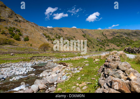 Chemin de Scafell Pike, vallée de Borrowdale dans le Parc National du Lake District, Cumbria, Angleterre, Royaume-Uni, Europe. Banque D'Images