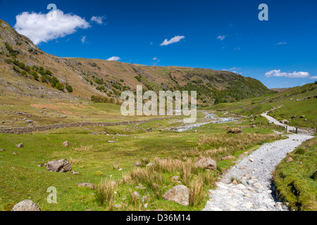 Chemin de Scafell Pike, vallée de Borrowdale dans le Parc National du Lake District, Cumbria, Angleterre, Royaume-Uni, Europe. Banque D'Images