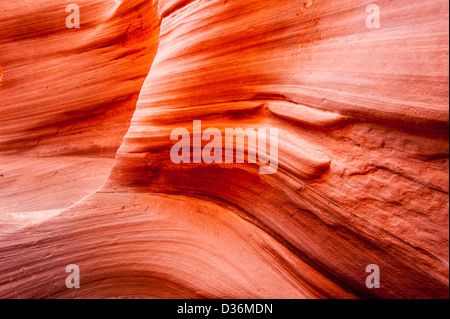 Peek-A-Boo slot canyon, trou dans un Rock Road, Grand Escalier Monument National, Utah, USA Banque D'Images