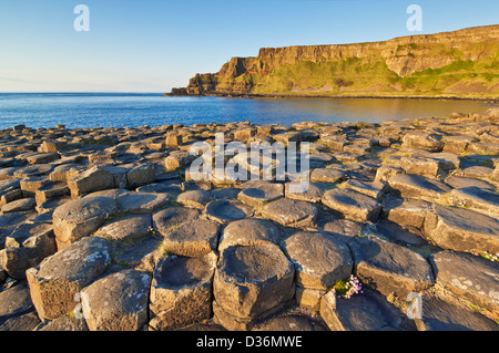 Hexangonal colonnes basaltiques de la Chaussée des Géants au nord Côte d'Antrim County Antrim Irlande du Nord GO UK EU Europe Banque D'Images