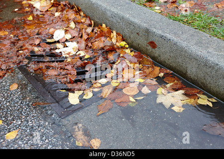 Le blocage des feuilles mortes de l'écoulement des eaux pluviales vidanger Vancouver BC Canada Banque D'Images