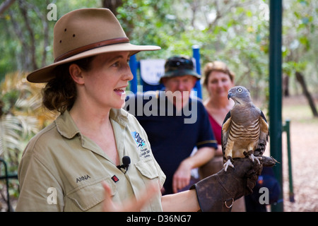 Spectacle d'oiseaux de proie à l'Envol, Territoire Wildlife Park, Berry Springs, Territoire du Nord, Australie Banque D'Images