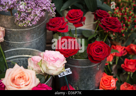 Fleurs, Borough Market, London Banque D'Images