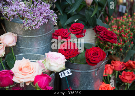 Fleurs, Borough Market, London Banque D'Images