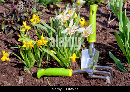 Jardin outils de jardin au printemps. Banque D'Images