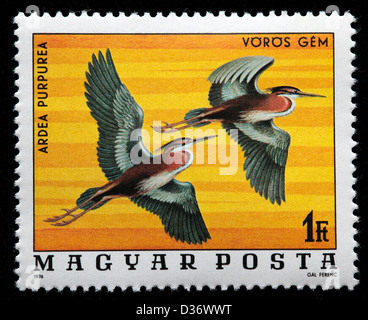 Héron pourpré (Ardea purpurea), timbre-poste, Hongrie, 1976 Banque D'Images