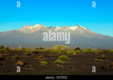 Tôt le matin de l'été sur le mont Ruapehu sur le plateau volcanique. Banque D'Images