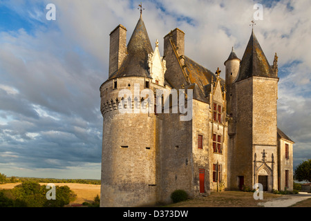 Château de Neuvicq-le-Château, Charente Maritime, France Banque D'Images