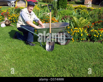 Jardinier homme âgé près de lit de fleur avec une brouette et une pelle Banque D'Images