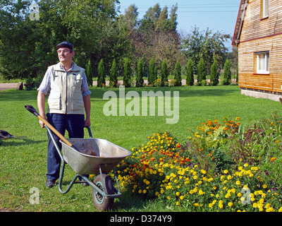 Jardinier homme âgé près de lit de fleur avec une brouette et une pelle Banque D'Images