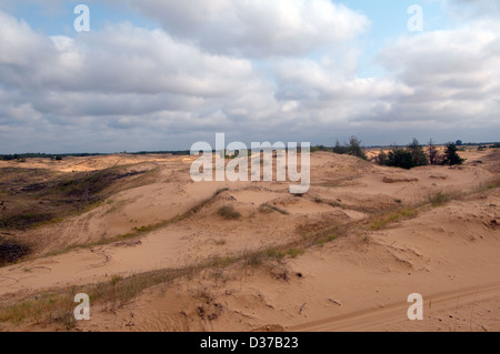 Oleshky Oleshky ou sables du désert Désert, deuxième plus grand désert de l'Europe et la plus grande étendue de sable en Ukraine. Oblast de Kherson, Ukraine Banque D'Images