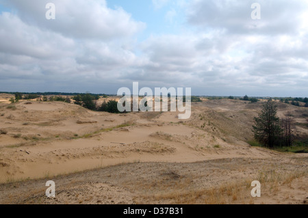 Oleshky Oleshky ou sables du désert Désert, deuxième plus grand désert de l'Europe et la plus grande étendue de sable en Ukraine. Oblast de Kherson, Ukraine Banque D'Images