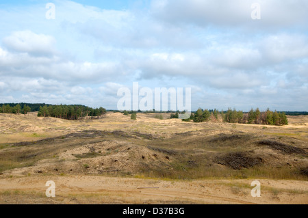 Oleshky Oleshky ou sables du désert Désert, deuxième plus grand désert de l'Europe et la plus grande étendue de sable en Ukraine. Oblast de Kherson, Ukraine Banque D'Images