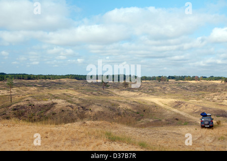 Oleshky Oleshky ou sables du désert Désert, deuxième plus grand désert de l'Europe et la plus grande étendue de sable en Ukraine. Oblast de Kherson, Ukraine Banque D'Images