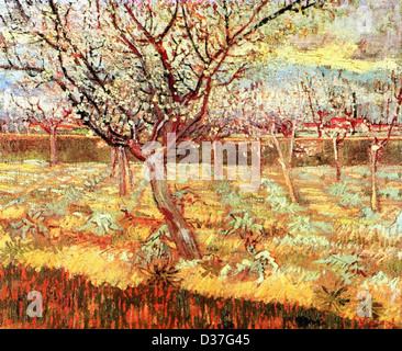Vincent van Gogh, abricotiers en fleurs. 1888. Le postimpressionnisme. Huile sur toile. Lieu de création : Arles-Dur-Tech, France. Banque D'Images
