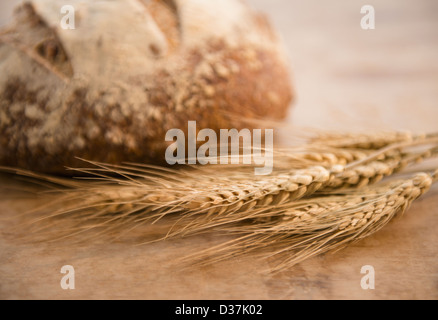 Close-up de l'oreille de maïs et miche de pain Banque D'Images