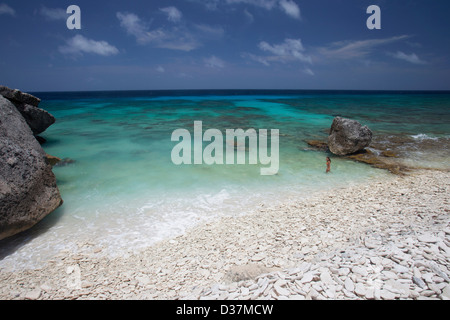 La vaisselle des vagues on tropical beach Banque D'Images