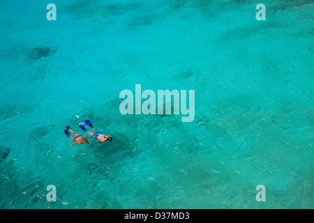 Couple de la plongée libre dans l'eau tropicale Banque D'Images