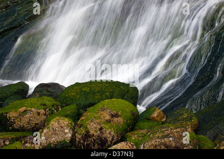 Ou01038-00...OREGON - Chute d'eau se répandre sur la plage à Oswald West State Park. Banque D'Images
