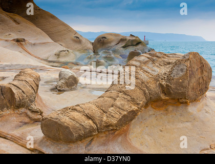 Rock formation à yehliu geopark en forme d'Elephant's trunk Banque D'Images