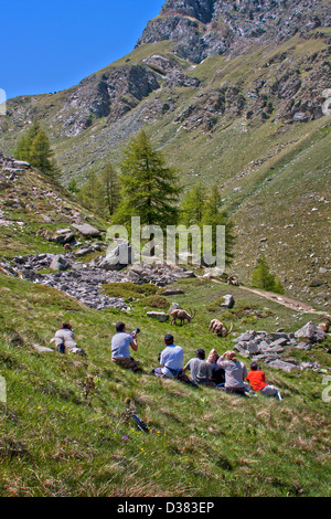 Les photographes prennent des photos de steinbocks Capra ibex alpin ( ) dans la région de Parc National du Gran Paradiso, Alpes italiennes, Italie Banque D'Images