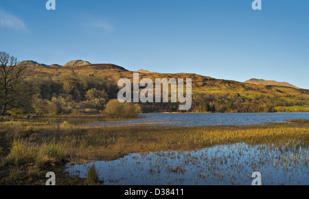 Rive ouest de Loch Tay, Ecosse , à l'autre côté de l'eau à la bas des pentes boisées de Ben Lawers et la Tarmachan hills Banque D'Images