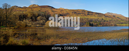 Rive ouest de Loch Tay, Ecosse , à l'autre côté de l'eau à la bas des pentes boisées de Ben Lawers et la Tarmachan hills Banque D'Images