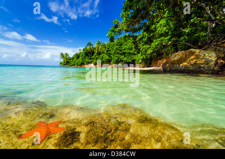 Dans l'eau de mer des Caraïbes en regard d'un vert luxuriant dans l'île de San Andres y Providencia, COLOMBIE Banque D'Images