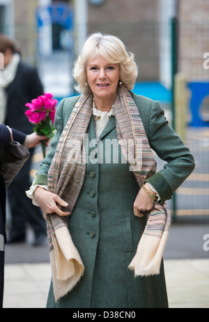 Camilla, Duchesse de Cornouailles les missions de l'entreprise dans le Wiltshire en février 2013 Banque D'Images