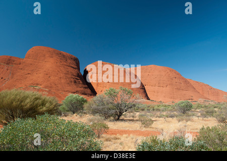 Les Olgas (Kata Tjuta), Territoire du Nord, Australie Banque D'Images