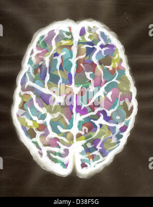 Image d'illustration du cerveau humain rempli de capsules Banque D'Images