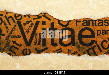 Vitae texte sur grunge paper Banque D'Images