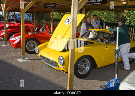 1960 Ferrari 250 GT SWB/C'est préparé pour le RAC TT course à la Célébration 2012 Goodwood Revival, Sussex, UK. Banque D'Images