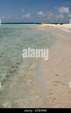 Le Belize, la mer des Caraïbes. Goff Caye, une petite île au large de la côte de Belize City, Belize le long de la Barrière de Corail. L'UNESCO Banque D'Images