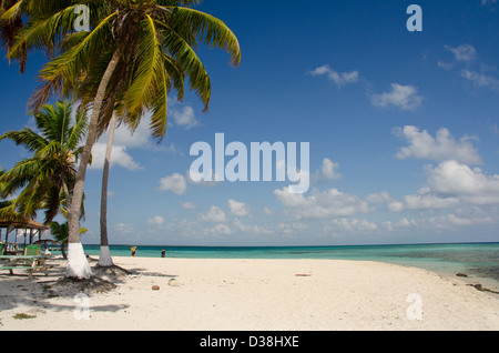 Le Belize, la mer des Caraïbes, Goff Caye. Une petite île au large de la côte de Belize City, Belize le long de la Barrière de Corail. L'UNESCO Banque D'Images