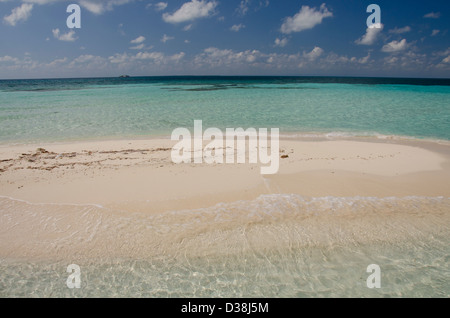 Le Belize, la mer des Caraïbes. Goff Caye, une petite île au large de la côte de Belize City, Belize le long de la Barrière de Corail. Banc de sable. Banque D'Images