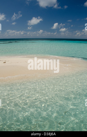 Le Belize, la mer des Caraïbes. Goff Caye, une petite île au large de la côte de Belize City, Belize le long de la Barrière de Corail. Banc de sable. Banque D'Images