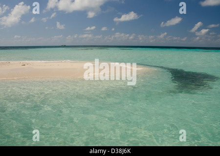 Le Belize, la mer des Caraïbes. Goff Caye, une petite île au large de la côte de Belize City, Belize le long de la Barrière de Corail. Banc de sable. Banque D'Images