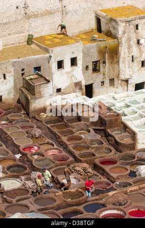 Les travailleurs dans les fosses de teinture de l'ancienne tannerie Chouara, Fes, Maroc Banque D'Images