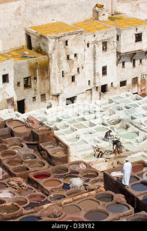 Les travailleurs dans la teinture et le séchage box de l'ancienne tannerie Chouara, Fes, Maroc Banque D'Images