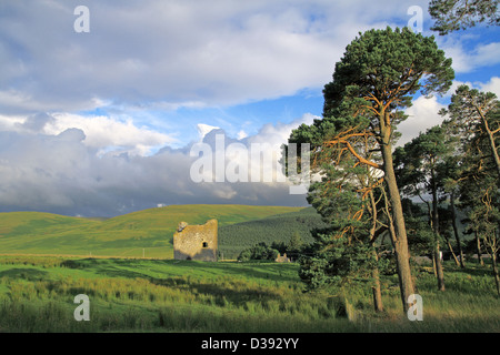 Tour Dryhope, Yarrow Valley, comté de frontières, Ecosse, Royaume-Uni Banque D'Images