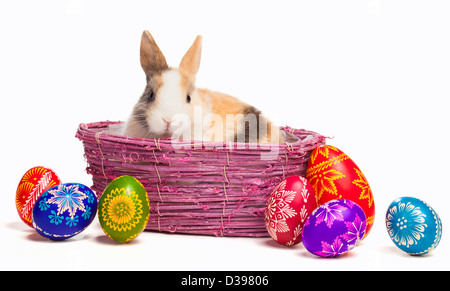 Œuf de Pâques et baby bunny isolated on white Banque D'Images