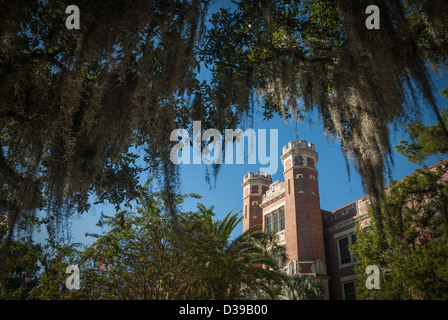 Le bâtiment Wescott de l'Université d'État de Floride, exposé au soleil du matin à travers le feuillage de Floride et la mousse espagnole à Tallahassee, Floride. (ÉTATS-UNIS) Banque D'Images